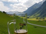 20170624_141936.jpg