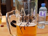 20170624_150008.jpg