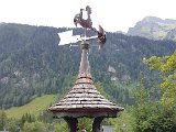 20170624_152254.jpg