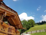 20170624_161547(0).jpg