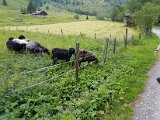 20170624_164528.jpg