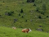 20170624_165145.jpg