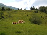 20170624_165318.jpg
