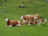 20170624_165326(0).jpg