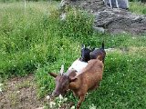 20170624_191831.jpg