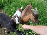 20170624_191918.jpg