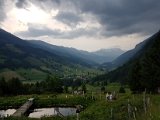 20170624_192023(0).jpg