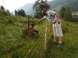20170624_192120.jpg