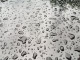20170625_083353.jpg