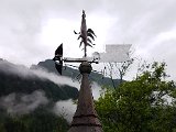 20170625_083626.jpg