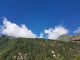 20170626_085904.jpg