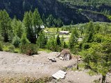20170626_134259.jpg