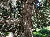 20170626_141848.jpg