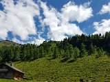 20170626_142454.jpg