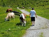 20170626_142518.jpg