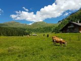 20170626_142528.jpg