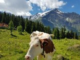 20170626_142555.jpg