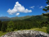 20170626_145031(0).jpg