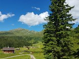 20170626_155214.jpg
