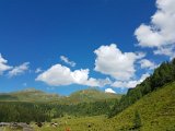 20170626_155338.jpg