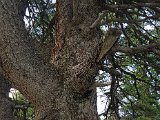 20170626_155936(0).jpg