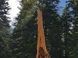 20170626_161513(0).jpg