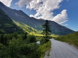 20170626_163618(0).jpg