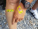 20170626_170705.jpg