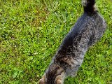 20170628_090547.jpg
