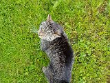 20170628_090608.jpg