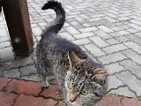 20170628_090647.jpg