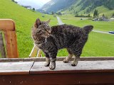 20170628_090922.jpg