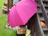 20170628_165348.jpg