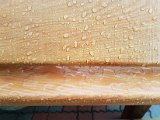 20170629_105428.jpg