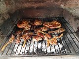 20170629_162232(0).jpg