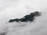 IMG_0506.jpg