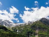 IMG_0537.jpg