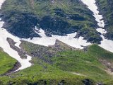 IMG_0563.jpg
