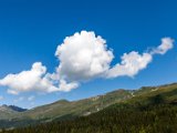 IMG_0579.jpg