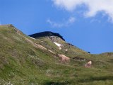 IMG_0599.jpg