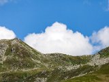 IMG_0602.jpg