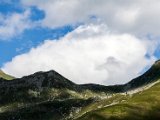 IMG_0606.jpg