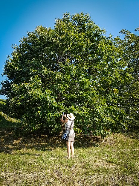 20170805_174459-2