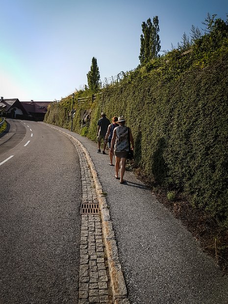 20170805_175944(0)-2