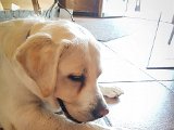 20170804_150314-2.JPG