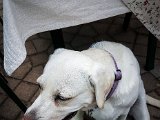 20170804_193349-2.JPG