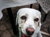 20170804_193354-2.JPG