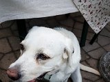 20170804_193403-2.JPG
