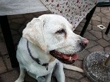 20170804_193459-2.JPG