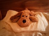 20170804_235320-2.JPG